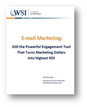 WSI E-mail Marketing Whitepaper